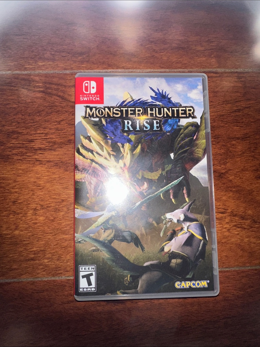 Nintendo Monster Hunter Rise -CASE ONLY